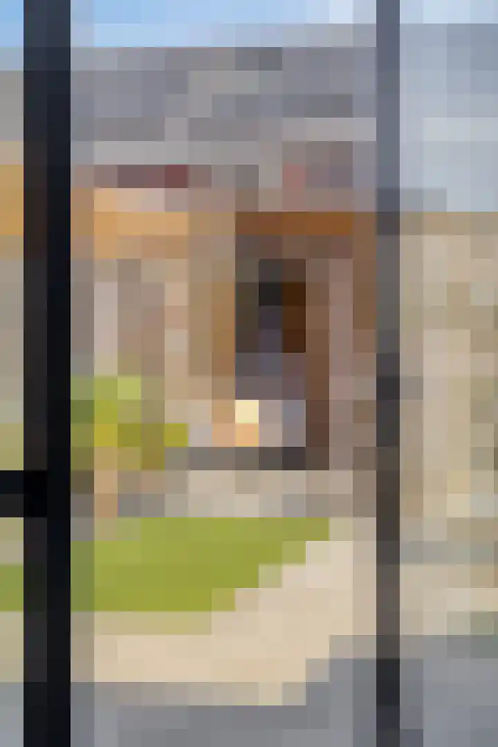 Petrus Planciusstraat 23 Veenendaal thumbnail 13