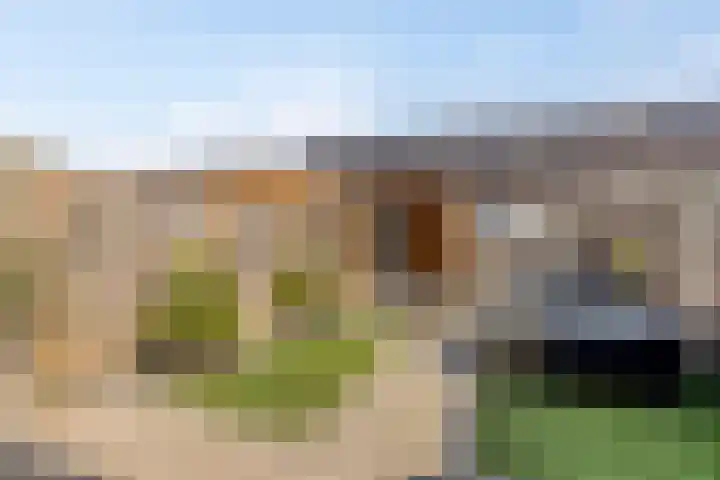 Petrus Planciusstraat 23 Veenendaal thumbnail 14