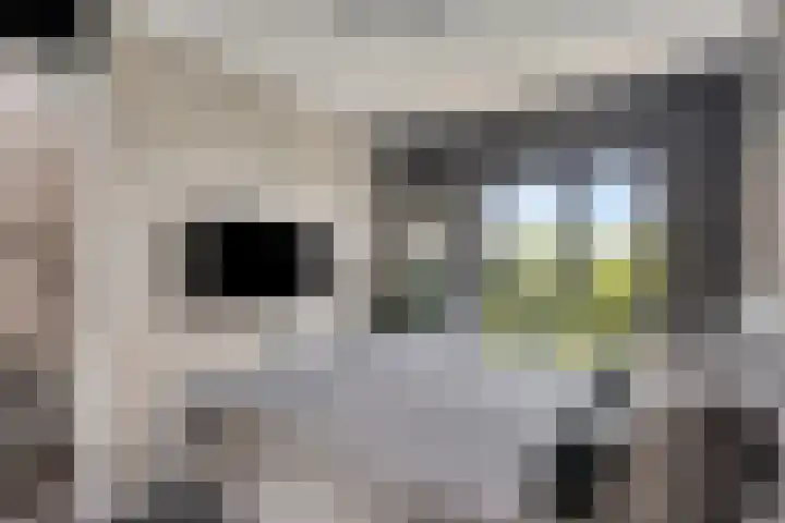 Petrus Planciusstraat 23 Veenendaal thumbnail 16