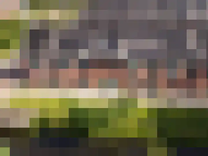 Petrus Planciusstraat 23 Veenendaal thumbnail 29