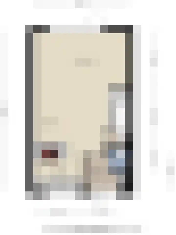 Petrus Planciusstraat 23 Veenendaal thumbnail 33