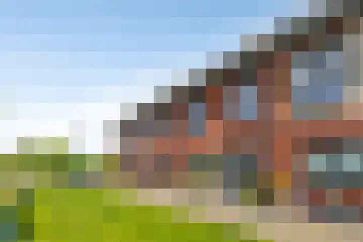 Petrus Planciusstraat 23 Veenendaal thumbnail 4