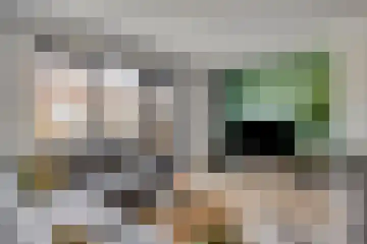 Petrus Planciusstraat 23 Veenendaal thumbnail 8