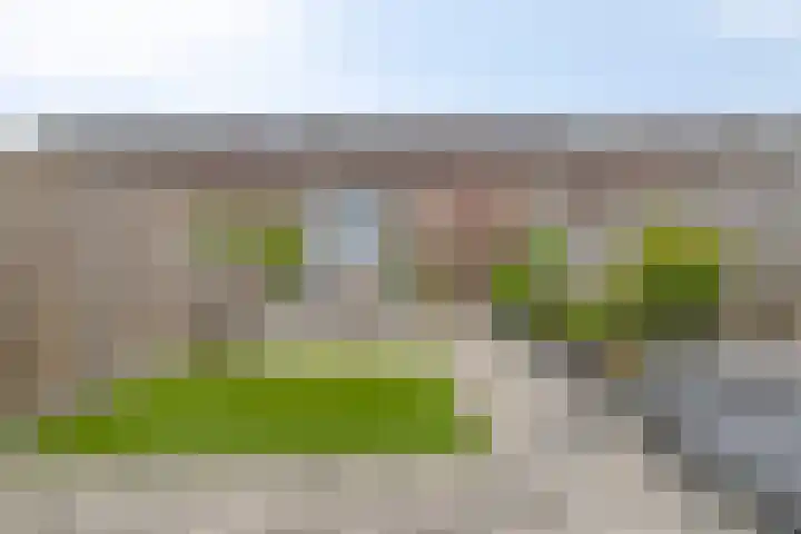 Petrus Planciusstraat 25 Veenendaal thumbnail 21