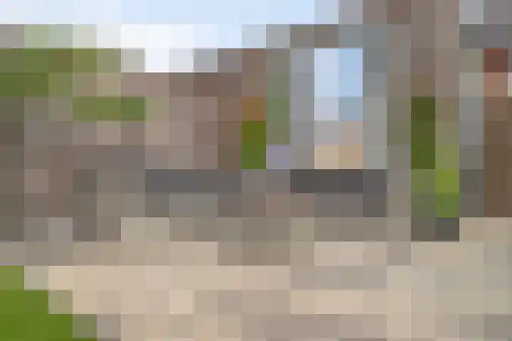 Petrus Planciusstraat 25 Veenendaal thumbnail 22