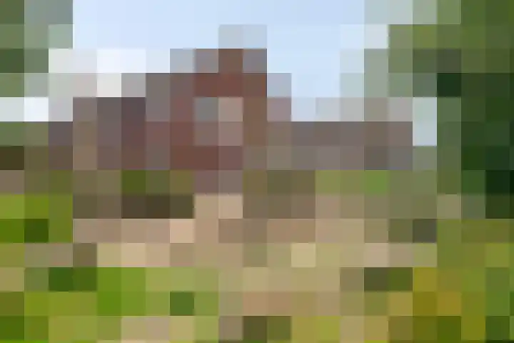 Petrus Planciusstraat 25 Veenendaal thumbnail 24