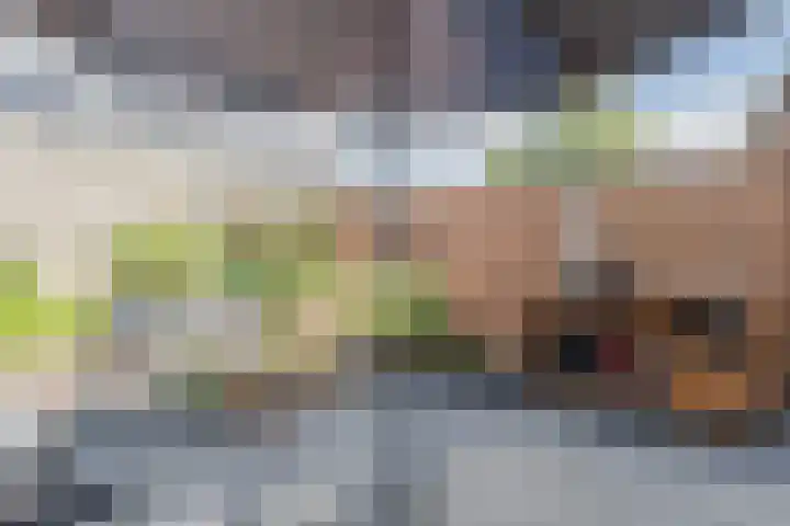 Petrus Planciusstraat 27 Veenendaal thumbnail 37