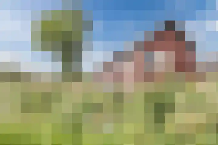 Petrus Planciusstraat 27 Veenendaal thumbnail 46