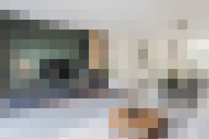 Petrus Planciusstraat 27 Veenendaal thumbnail 7