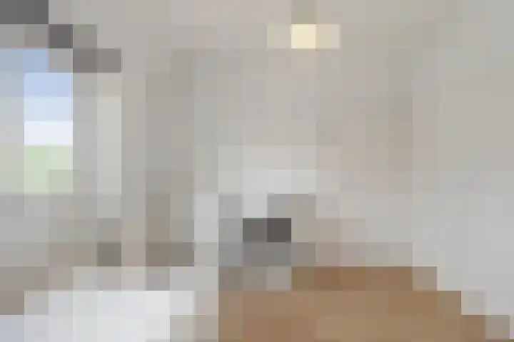 Petrus Planciusstraat 8 Den Helder thumbnail 12