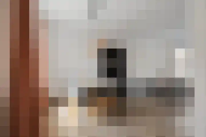 Petrus Planciusstraat 8 Den Helder thumbnail 5