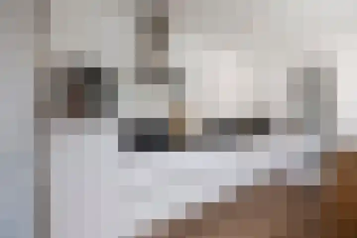 Petrus Planciusstraat 8 Den Helder thumbnail 8
