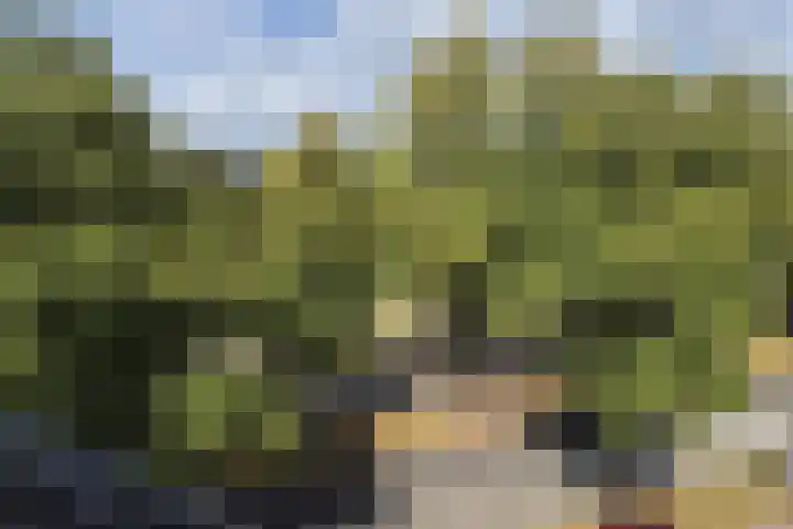 Petrus Regoutplein 22 B 01 Maastricht thumbnail 8