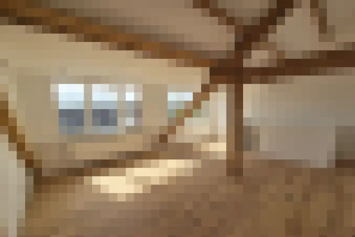 Petrus Regoutplein 22 D 05 Maastricht thumbnail 7