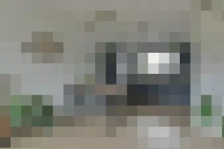 Petrus Steenkampweg 10 a Uithoorn thumbnail 4