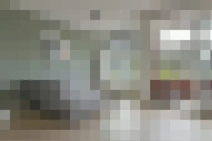 Petrus Steenkampweg 10 a Uithoorn thumbnail 8