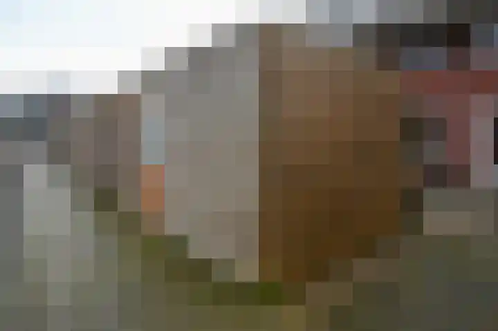 Petrus Steenkampweg 8 Uithoorn thumbnail 17