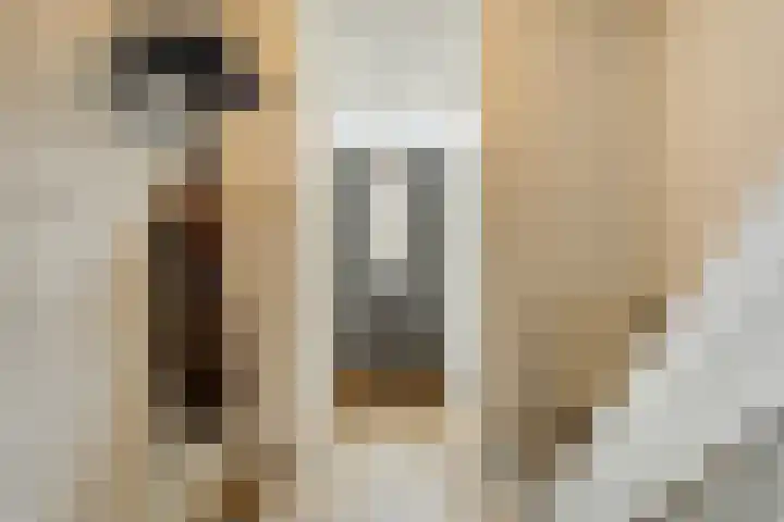 Petrus van Schendelstraat 12 Rosmalen thumbnail 10
