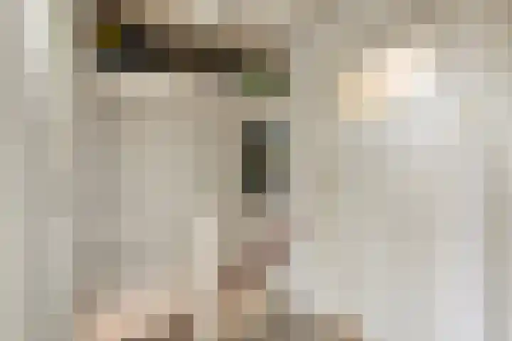 Petrus van Schendelstraat 12 Rosmalen thumbnail 12