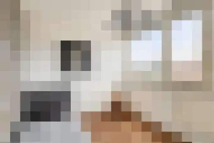 Petrus van Schendelstraat 12 Rosmalen thumbnail 15