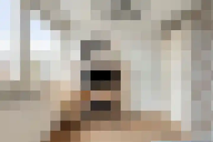 Petrus van Schendelstraat 12 Rosmalen thumbnail 16