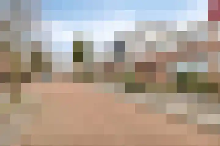Petrus van Schendelstraat 12 Rosmalen thumbnail 27