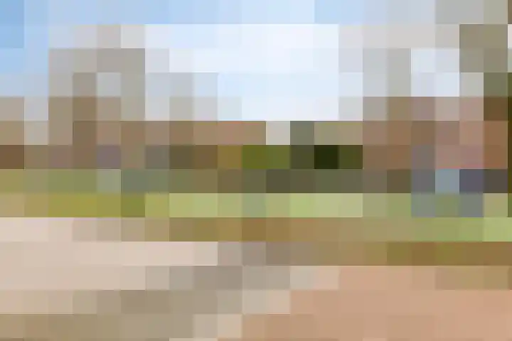Petrus van Schendelstraat 12 Rosmalen thumbnail 29