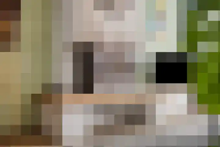 Petrus van Schendelstraat 12 Rosmalen thumbnail 4