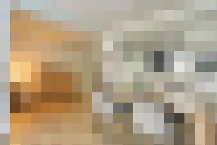 Petrus van Schendelstraat 12 Rosmalen thumbnail 5