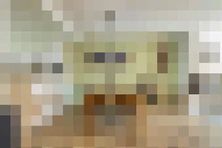 Petrus van Schendelstraat 12 Rosmalen thumbnail 6