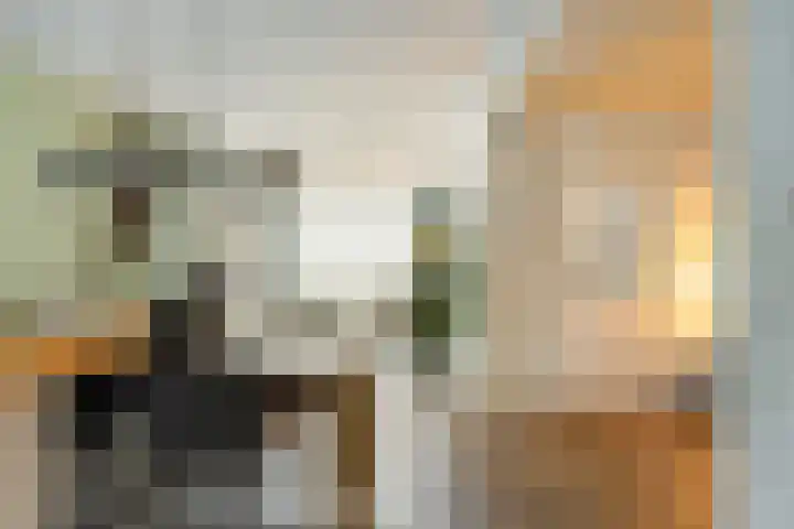 Petrus van Schendelstraat 12 Rosmalen thumbnail 7