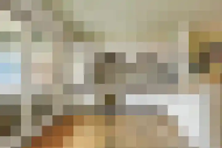 Petrus van Schendelstraat 12 Rosmalen thumbnail 8