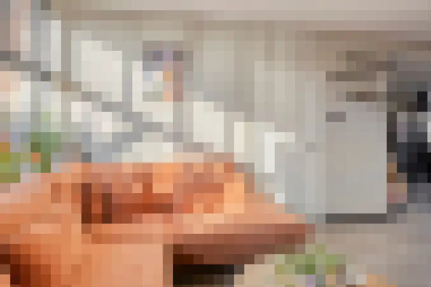 Petrus van Schendelstraat 16 Rosmalen thumbnail 11