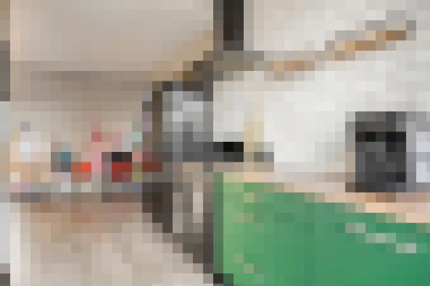 Petrus van Schendelstraat 16 Rosmalen thumbnail 15