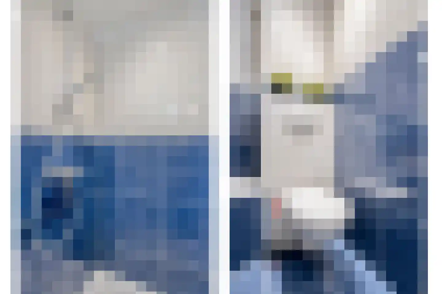 Petrus van Schendelstraat 16 Rosmalen thumbnail 21