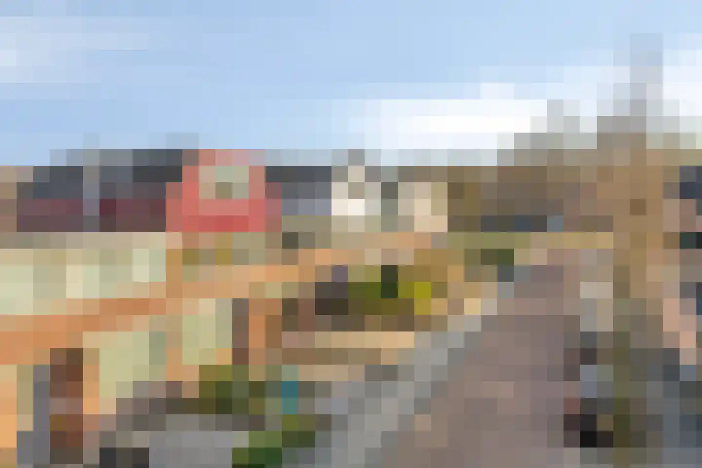 Petrus van Schendelstraat 16 Rosmalen thumbnail 29