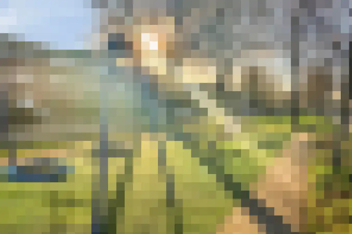 Petrus van Schendelstraat 16 Rosmalen thumbnail 32