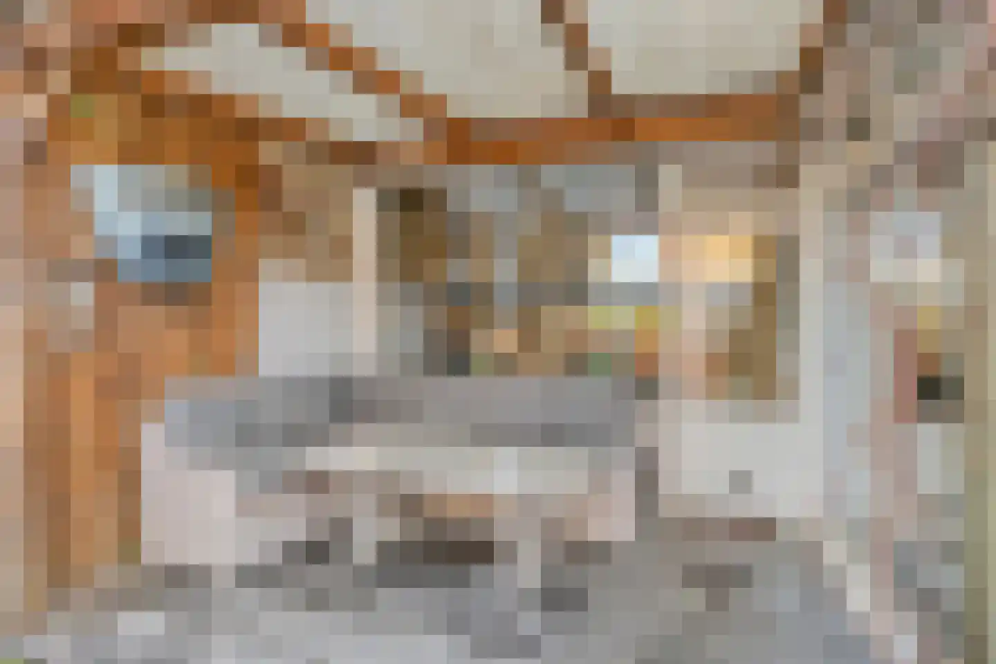 Petrus van Schendelstraat 16 Rosmalen thumbnail 4