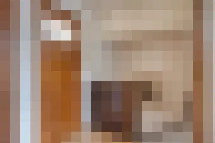 Petrus van Schendelstraat 21 Rosmalen thumbnail 12