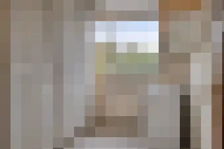 Petrus van Schendelstraat 21 Rosmalen thumbnail 15
