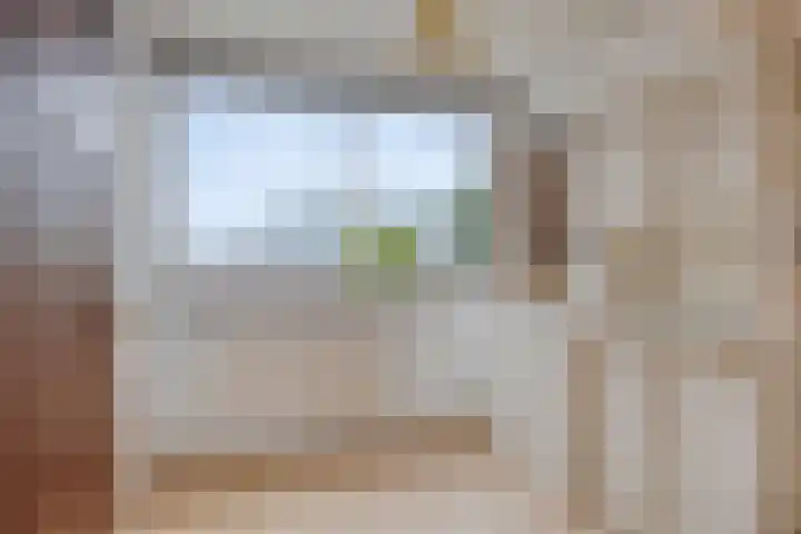 Petrus van Schendelstraat 21 Rosmalen thumbnail 16