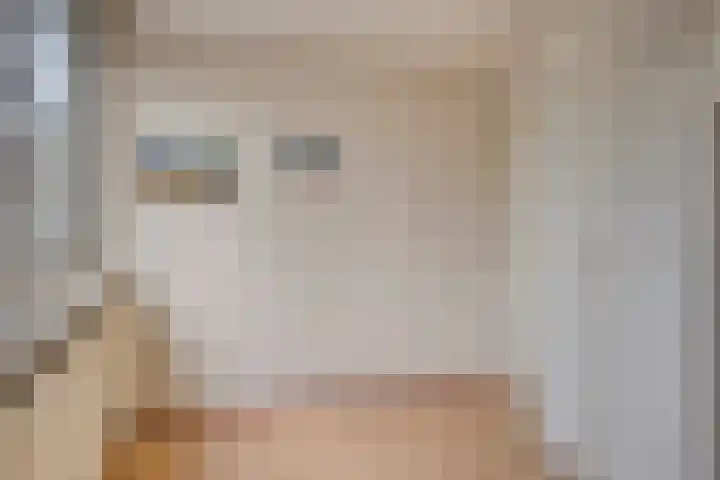 Petrus van Schendelstraat 21 Rosmalen thumbnail 18