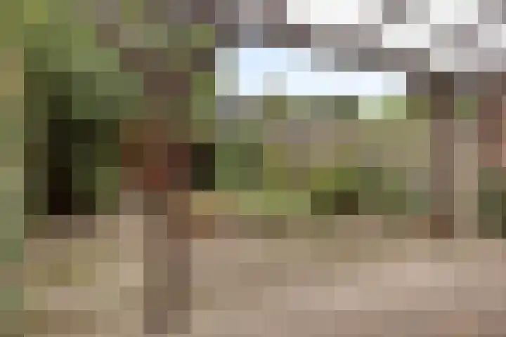 Petrus van Schendelstraat 21 Rosmalen thumbnail 21