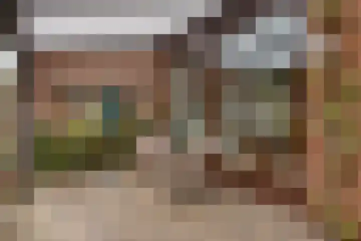 Petrus van Schendelstraat 21 Rosmalen thumbnail 22
