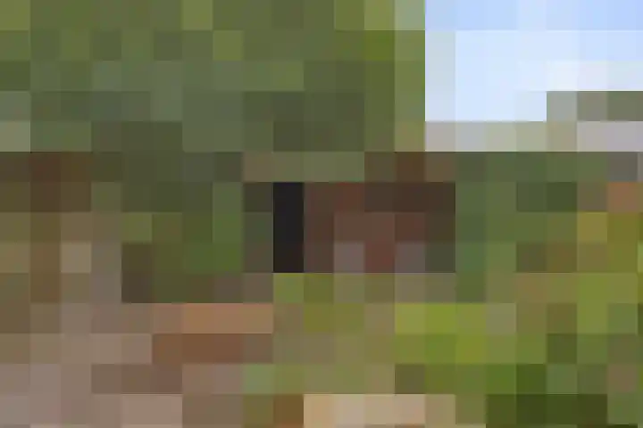 Petrus van Schendelstraat 21 Rosmalen thumbnail 23