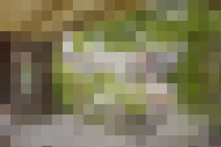 Petrus van Schendelstraat 21 Rosmalen thumbnail 25