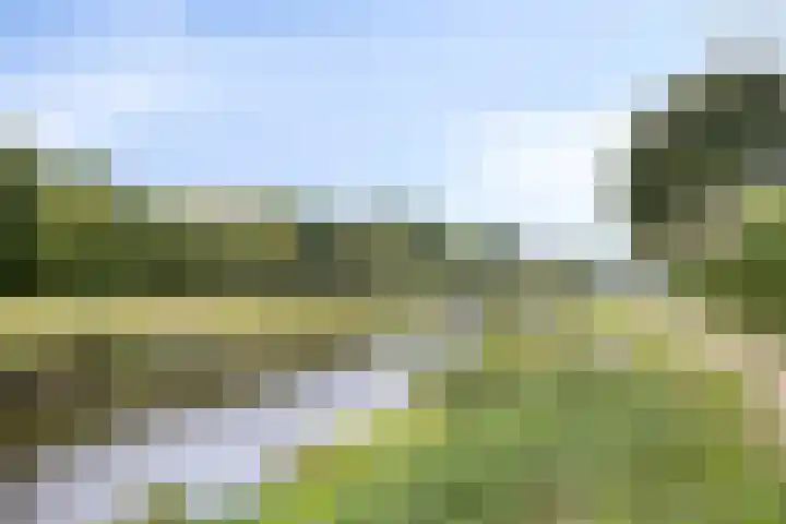 Petrus van Schendelstraat 21 Rosmalen thumbnail 27
