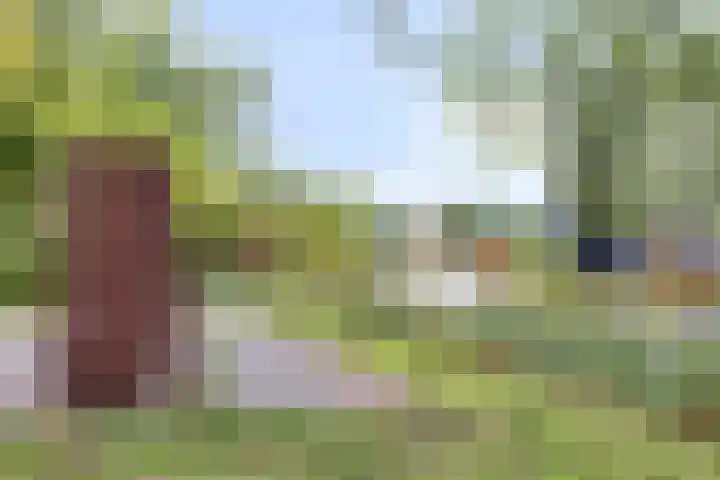 Petrus van Schendelstraat 21 Rosmalen thumbnail 29