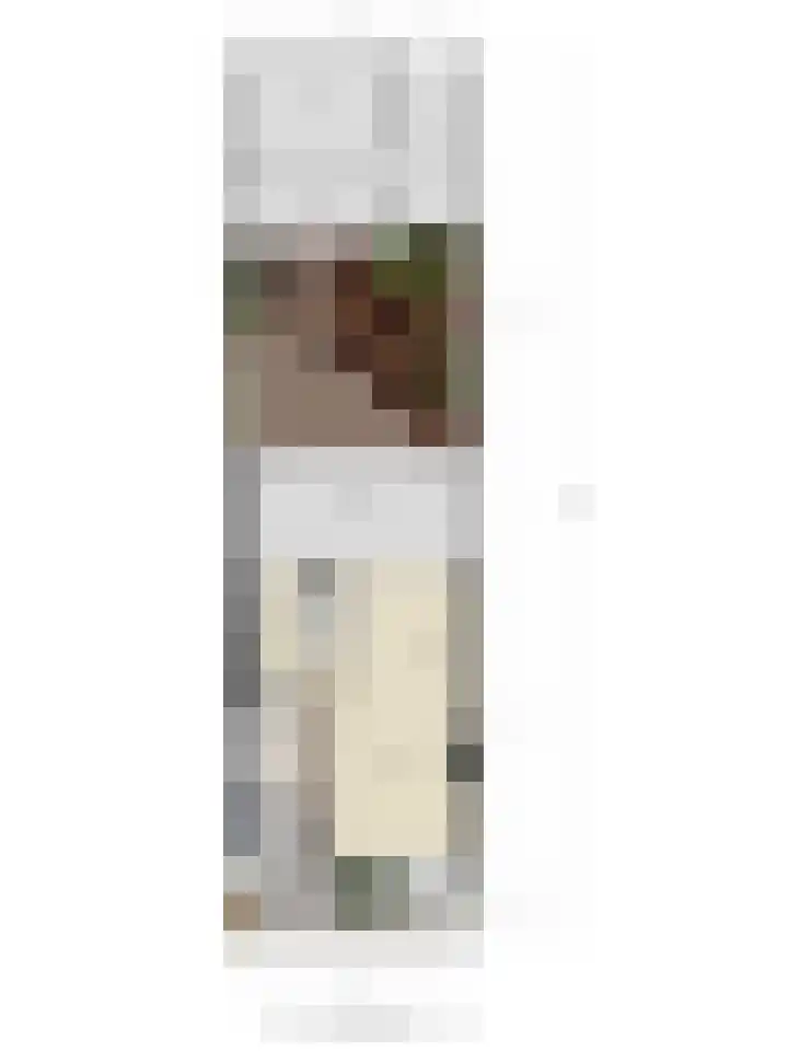 Petrus van Schendelstraat 21 Rosmalen thumbnail 31