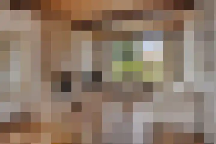 Petrus van Schendelstraat 21 Rosmalen thumbnail 4